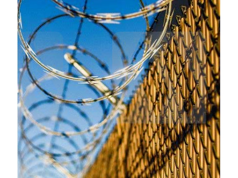 Concertinas Colombia