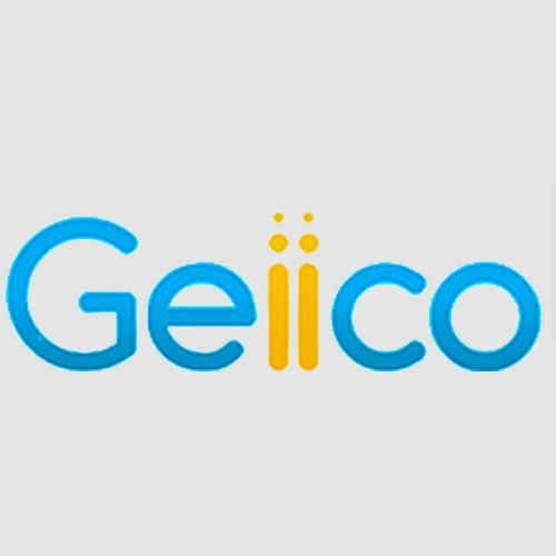 Geiico S.A.
