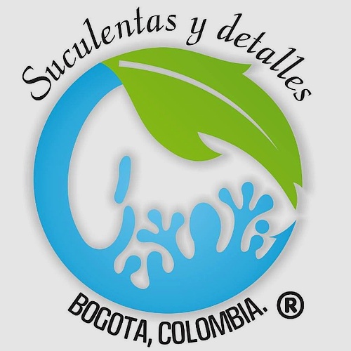 Suculentas y detalles