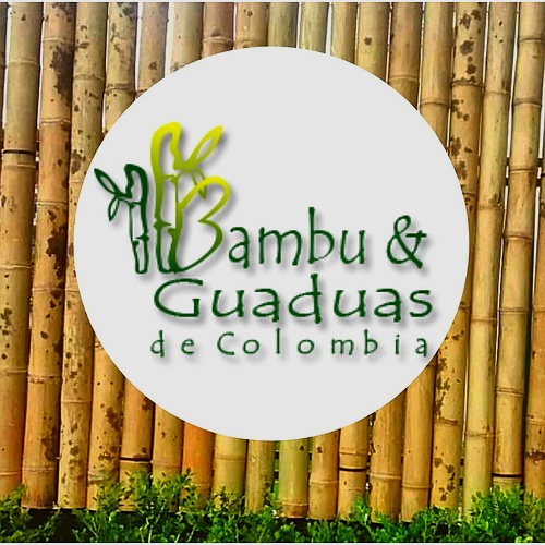 Bamboo & Guaduas de Colombia