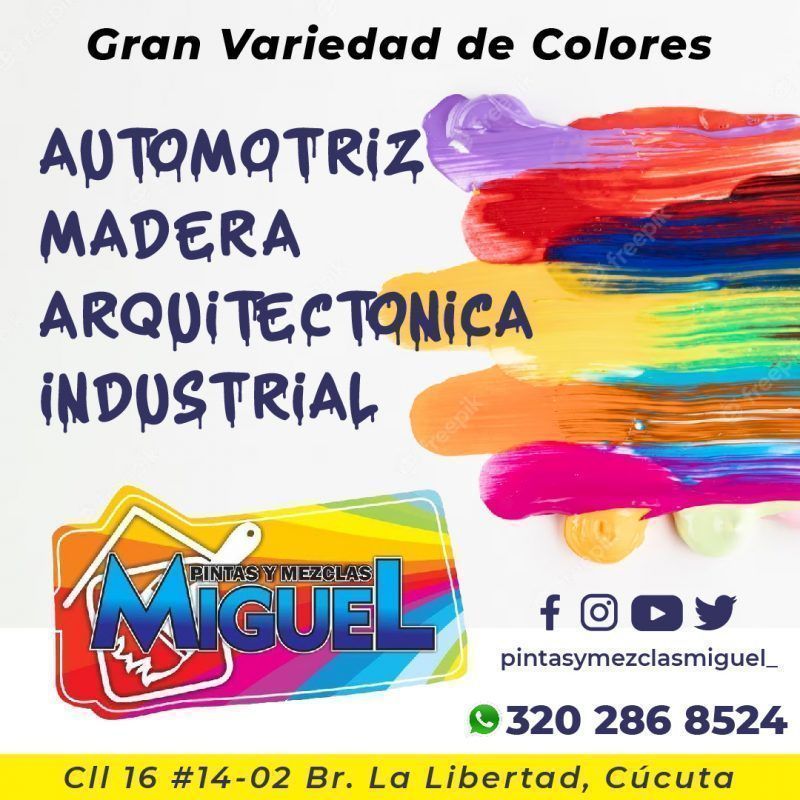 Pintas y Mezclas Miguel