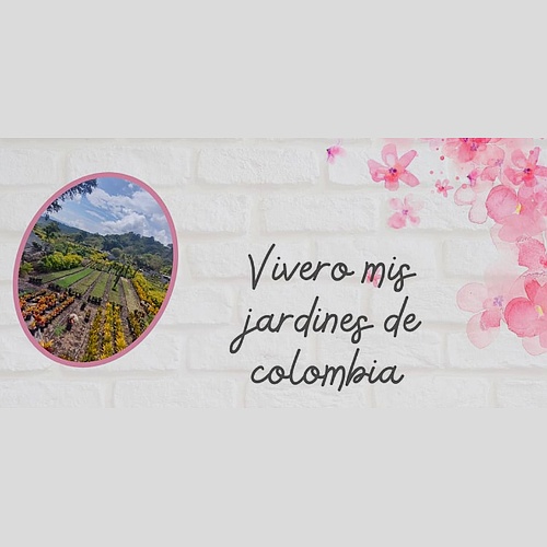Mis jardines de Colombia 