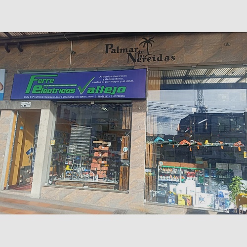 Ferreelectricos Vallejo