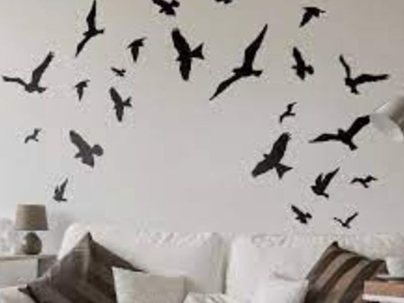 Decoración con Vinilos en Colombia 