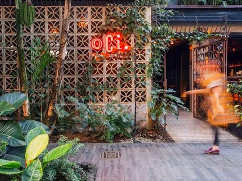 Celosía Margarita Bogotá 